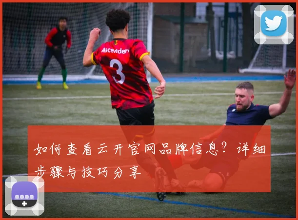 如何查看云开官网品牌信息？详细步骤与技巧分享